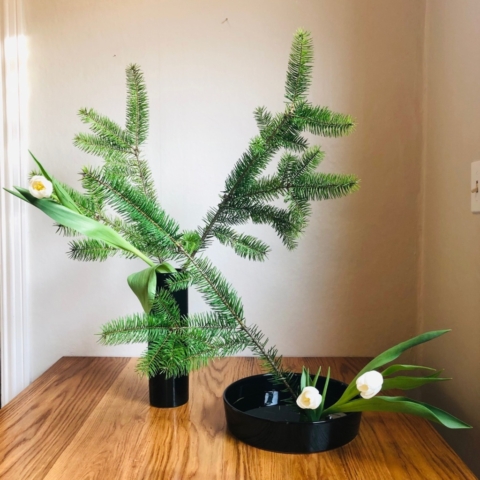 Ikebana