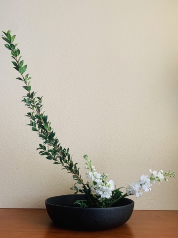 Ikebana