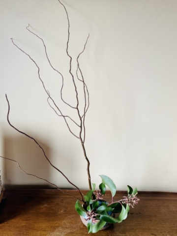 Ikebana