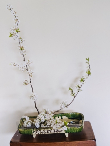 Ikebana