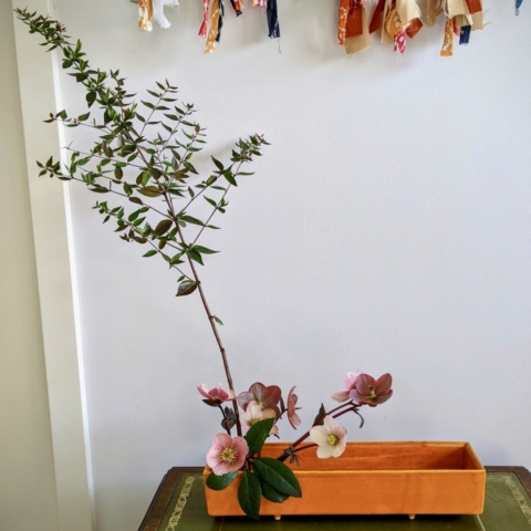 Ikebana