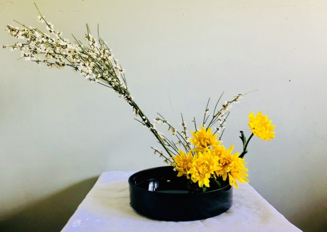 Ikebana