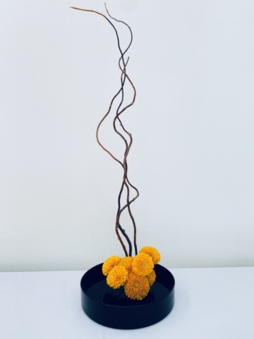 Ikebana