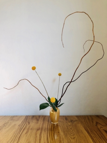 Ikebana