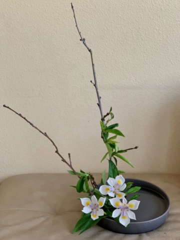 Ikebana