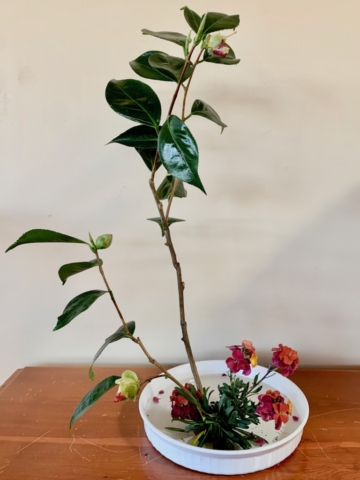 Ikebana