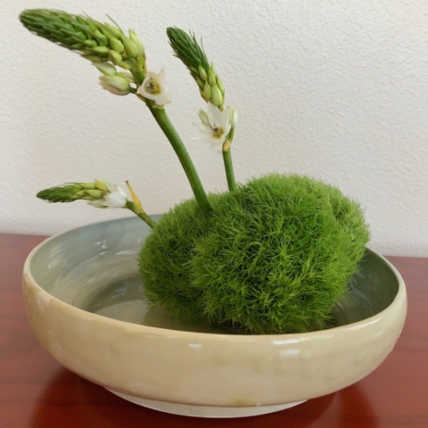 Ikebana