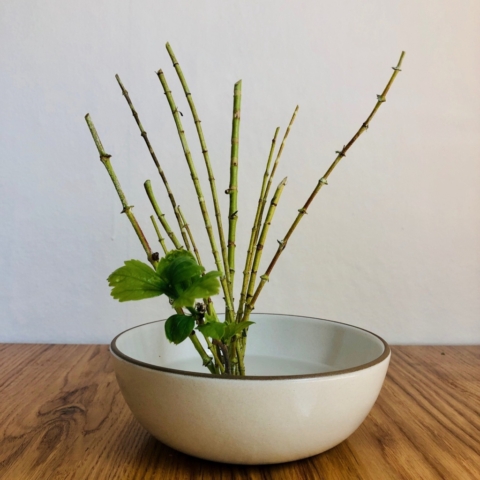 Ikebana