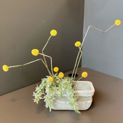 Ikebana