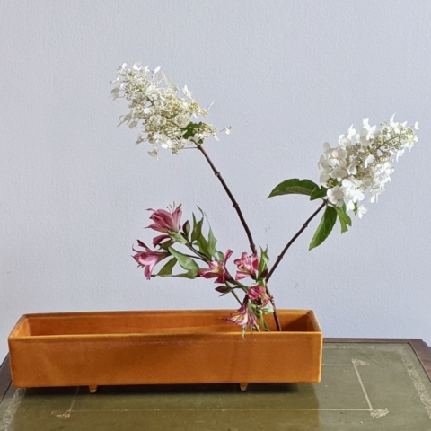 Ikebana