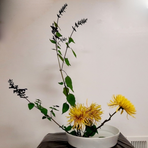 Ikebana