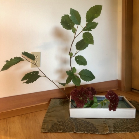 Ikebana