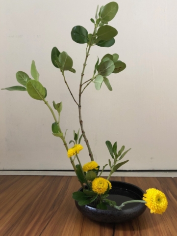 ikebana