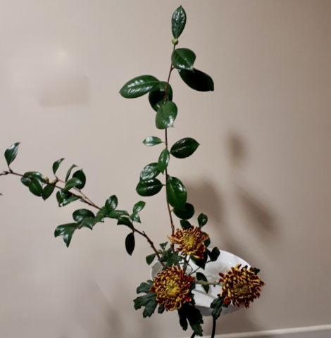 ikebana