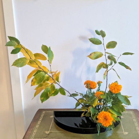 Ikebana