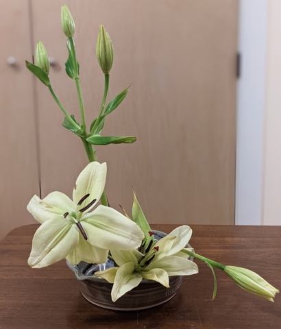 Ikebana