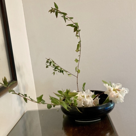 Ikebana