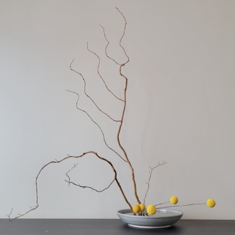 Ikebana