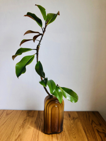 Ikebana