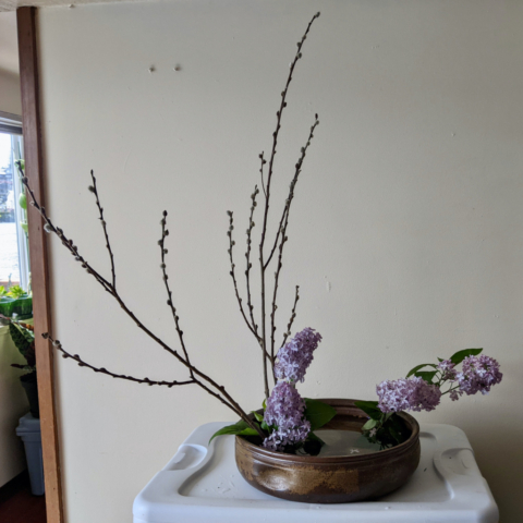 Ikebana