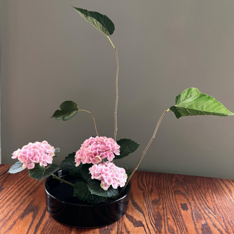 ikebana