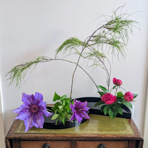 ikebana