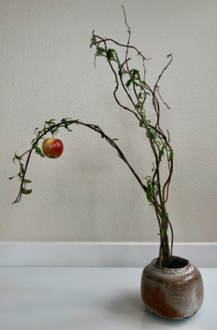 ikebana