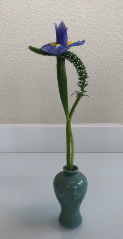 ikebana