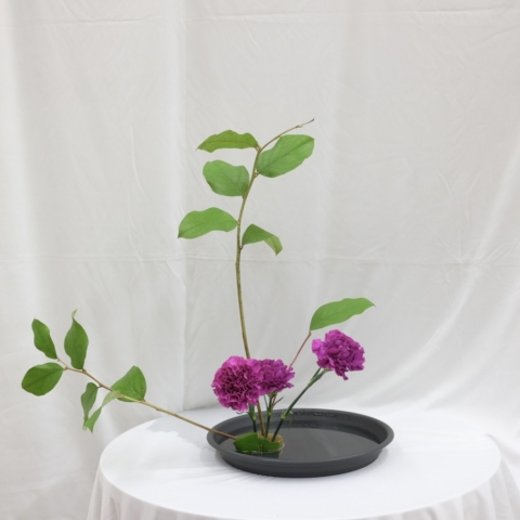 ikebana