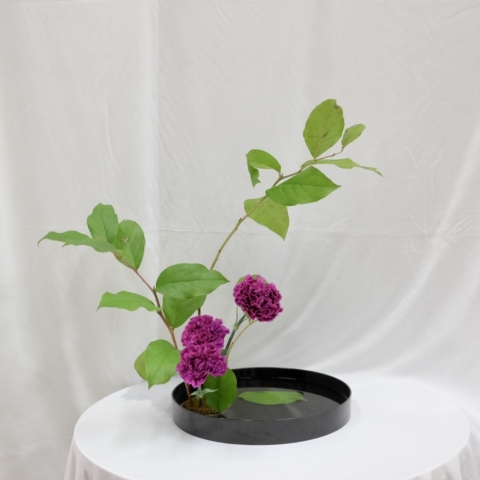 ikebana