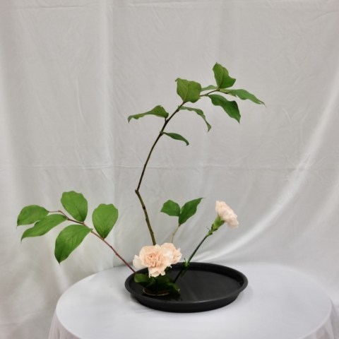 ikebana