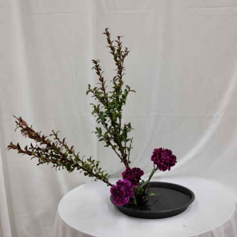 ikebana