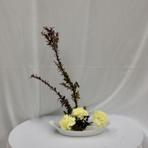 ikebana