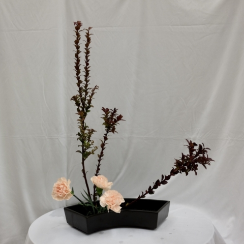 ikebana