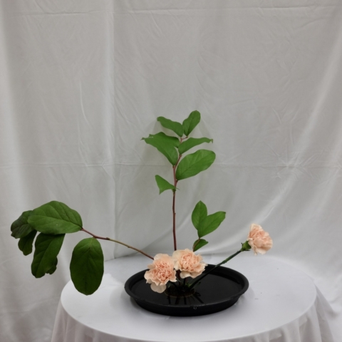 ikebana