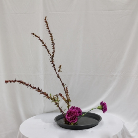 ikebana