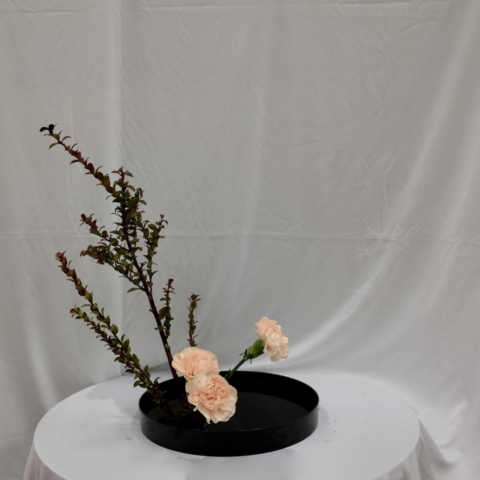 ikebana