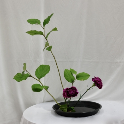 ikebana