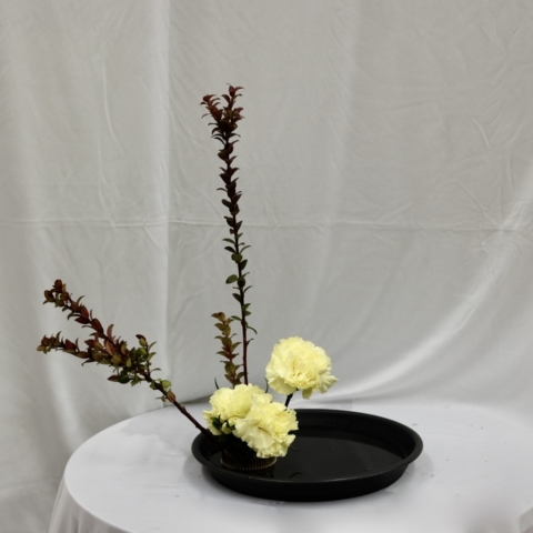 ikebana