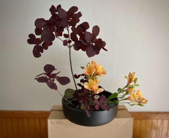 ikebana