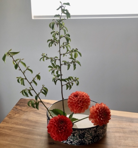 Ikebana