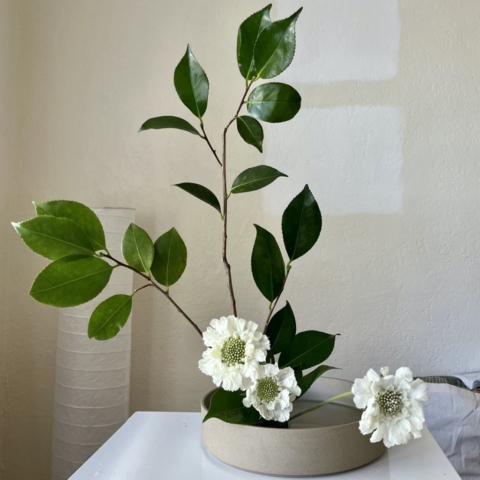 Ikebana