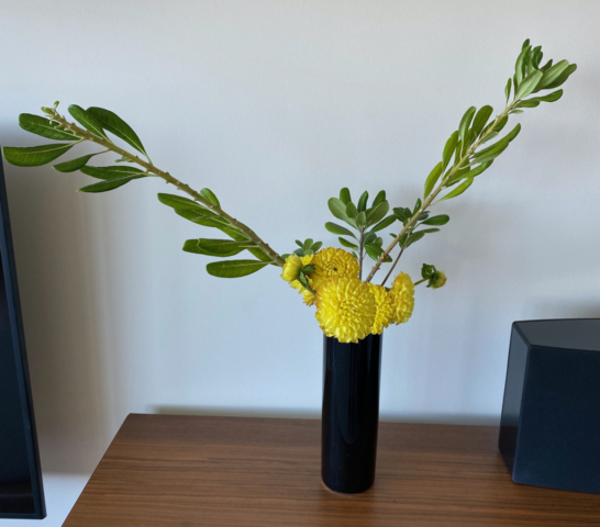 Ikebana