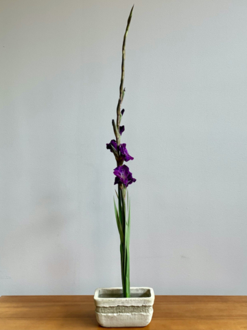 Ikebana