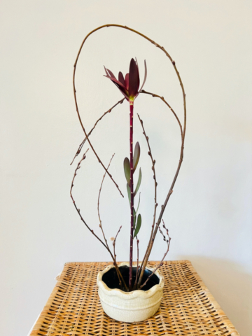 Ikebana