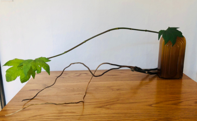 ikebana