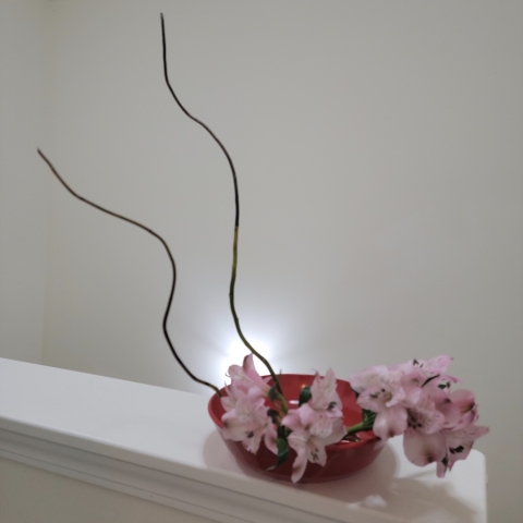 ikebana