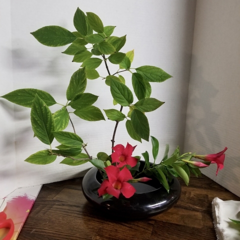 ikebana