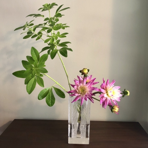 ikebana