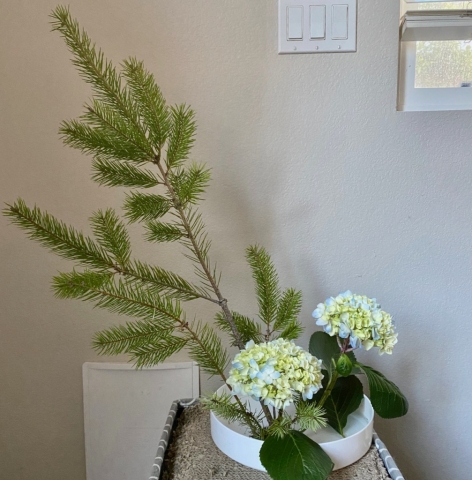 Ikebana